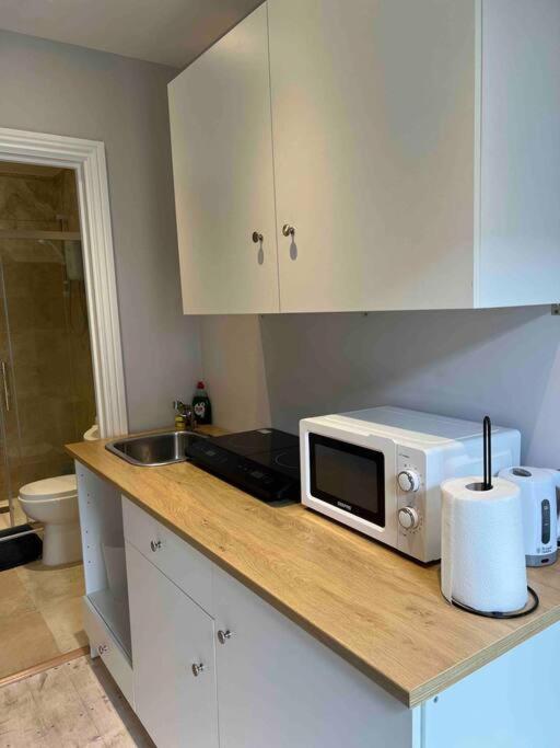 Newly Built Large Garden Ensuite Guest Studio ボーハムウッド エクステリア 写真