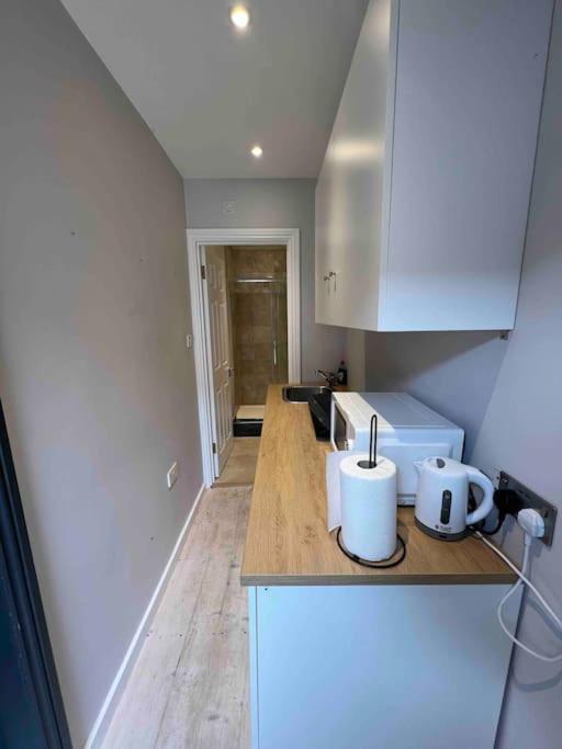 Newly Built Large Garden Ensuite Guest Studio ボーハムウッド エクステリア 写真