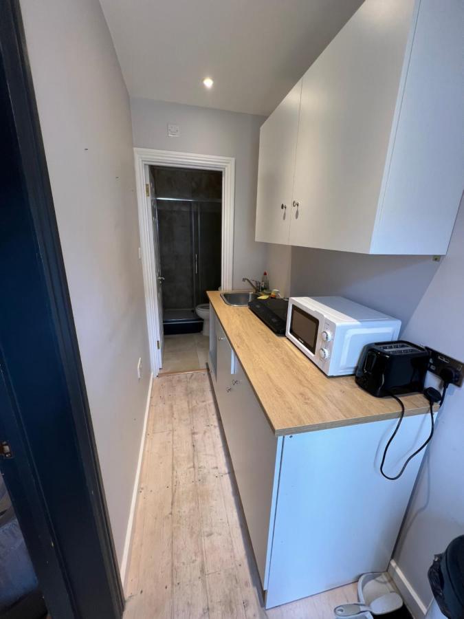 Newly Built Large Garden Ensuite Guest Studio ボーハムウッド エクステリア 写真